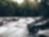 Stoney River